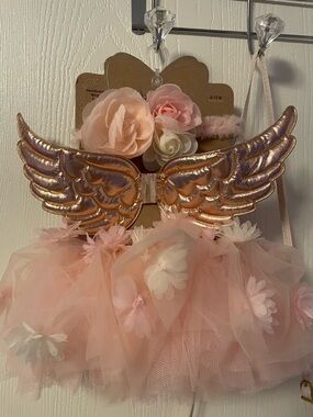 Kids Pink Floral Tulle Hair Accessory Set with Gold Wings and Floral Tutu.